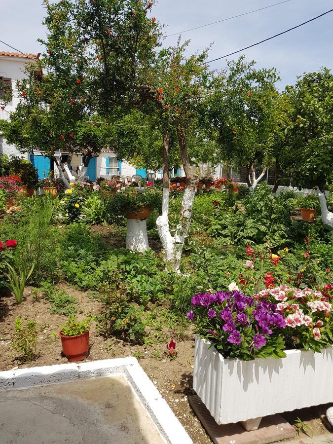 Aparthotel Asimina'S House Skiathos Exterior foto