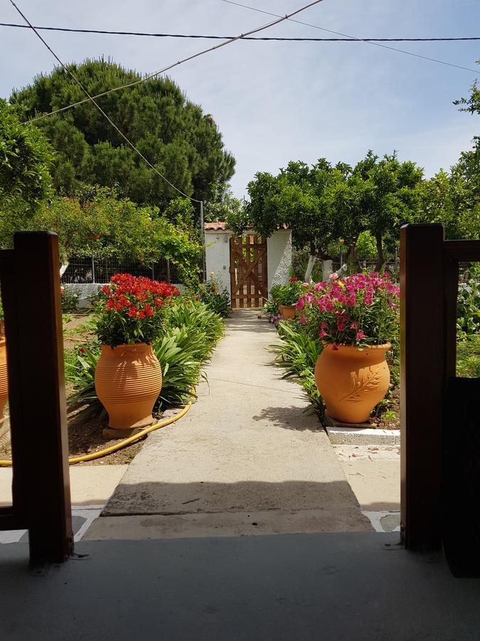 Aparthotel Asimina'S House Skiathos Exterior foto